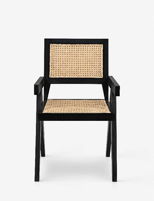 Alvi Dining Chair